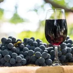 Jak zrobić wino z winogron jasnych - prosta receptura krok po kroku